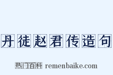 丹徒赵君传造句是什么意思的图片